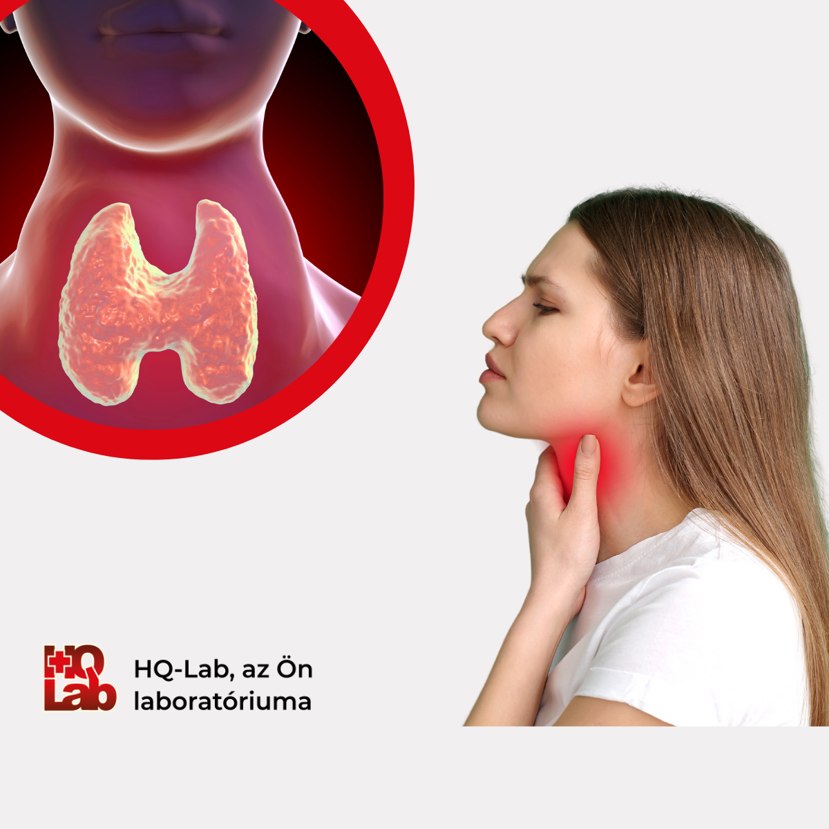 A pajzsmirigy megbetegedéseiről röviden